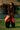 Arka Sunset Silk Set